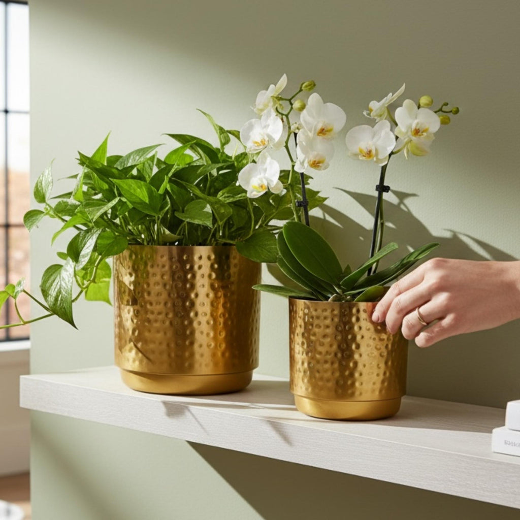 Hammered Gold Planters - Iron, Set of 2 (8 in & 7 in)