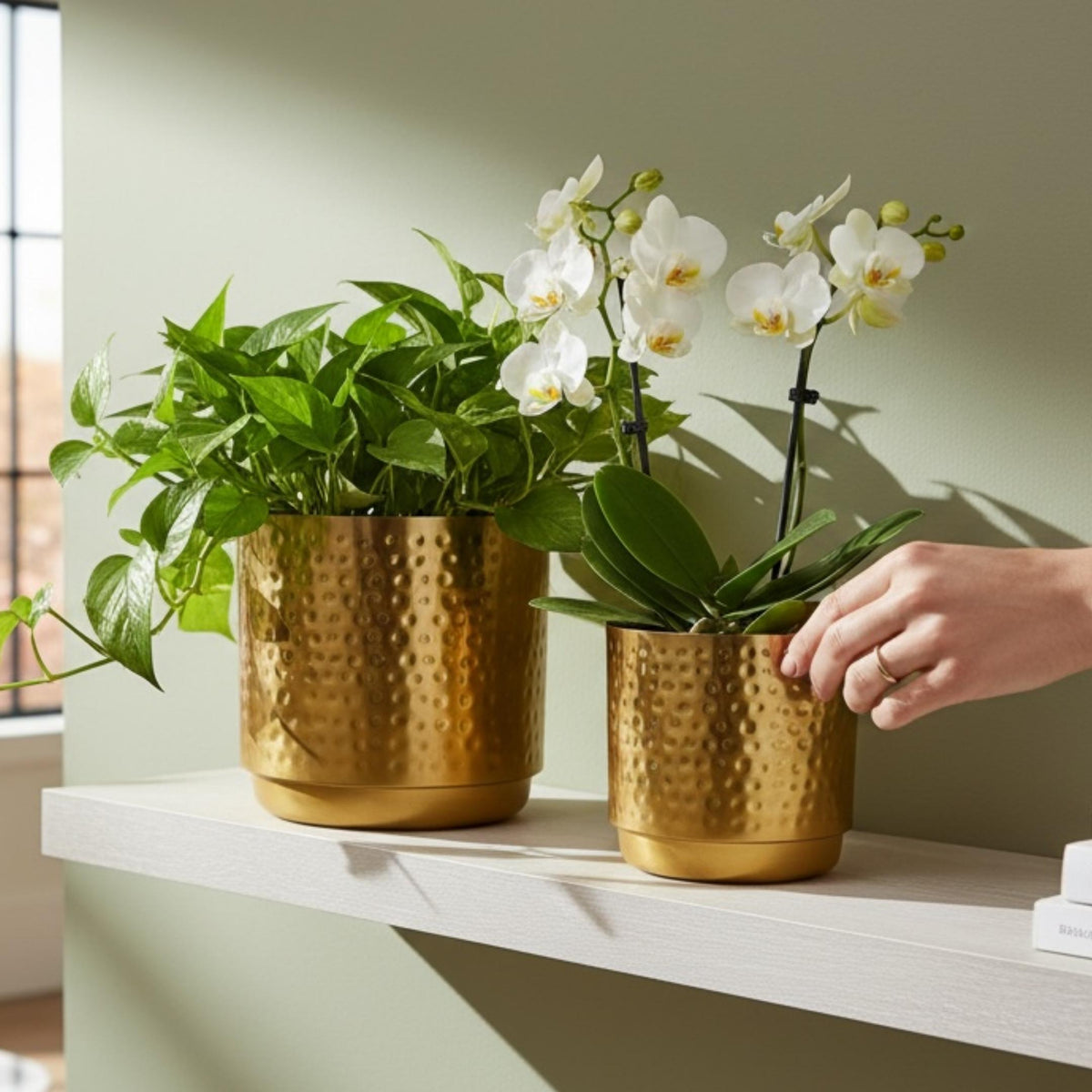 Hammered Gold Planters - Iron, Set of 2 (8 in & 7 in)